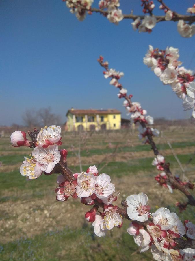 La Crosona Cola (Verona) Exterior foto